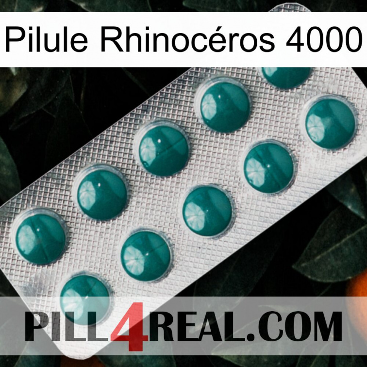 Pilule Rhinocéros 4000 dapoxetine1